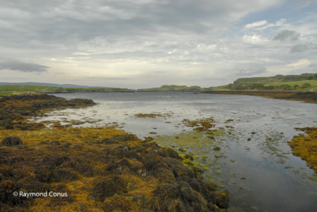 Ecosse (30)