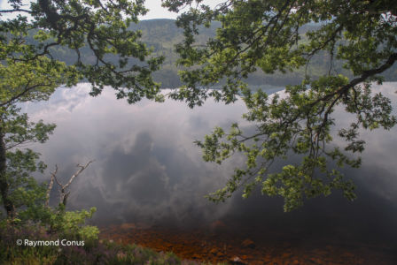 Ecosse (35)