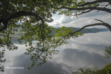 Ecosse (37)
