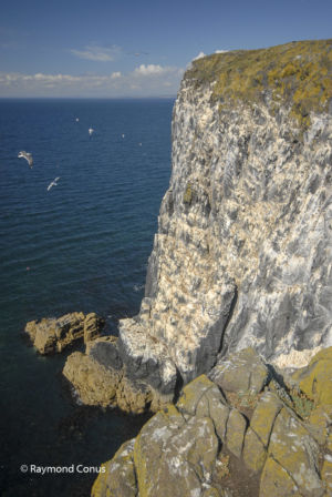 Ecosse (44)