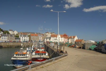 Ecosse (47)