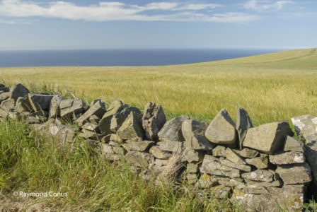 Ecosse (6)