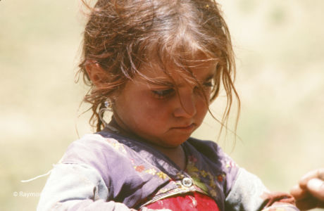Kurdistan, 1978
