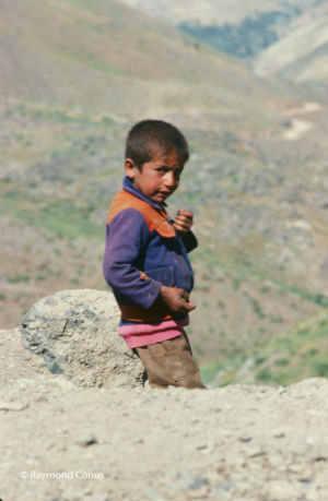 Kurdistan, 1978