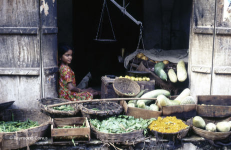 Rajasthan Inde, 1979