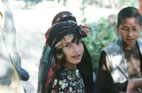 Kurdistan, 1978