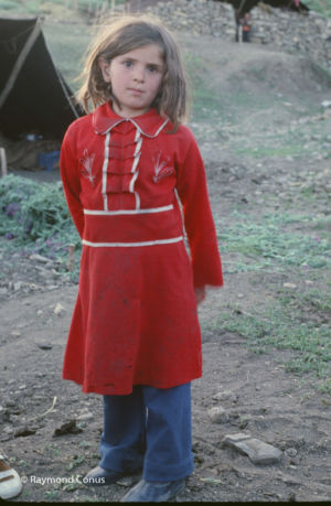 Kurdistan, 1978