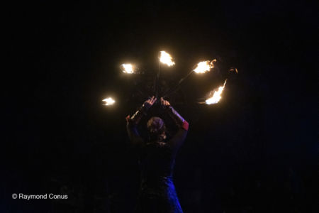 Fire Shows (41)