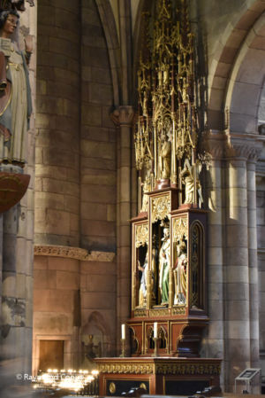 Freiburg im Breisgau (11)