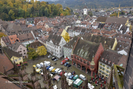 Freiburg im Breisgau (12)
