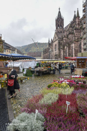 Freiburg im Breisgau (27)