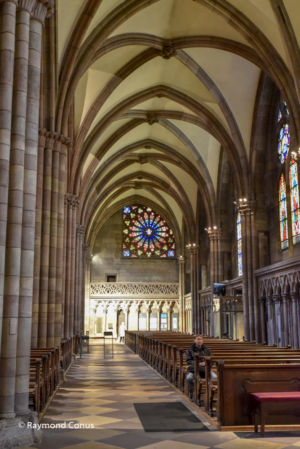 Freiburg im Breisgau (9)