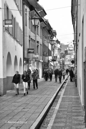 Freiburg im Breisgau SP (12)