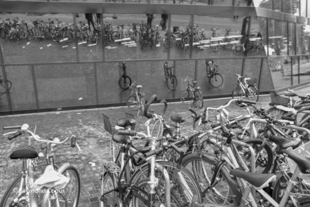 Freiburg im Breisgau SP (17)