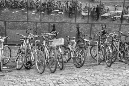 Freiburg im Breisgau SP (18)