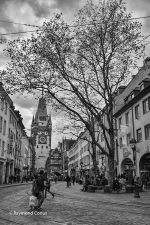 Freiburg im Breisgau SP (19)