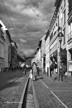 Freiburg im Breisgau SP (5)