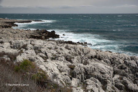 French Riviera (20)