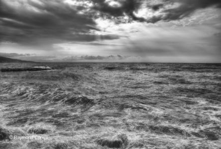 French landscapes (11)