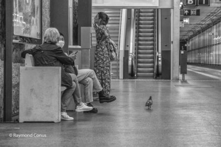Geneva-Eaux-Vives station (17)