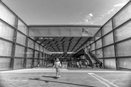 Geneva-Eaux-Vives station (21)
