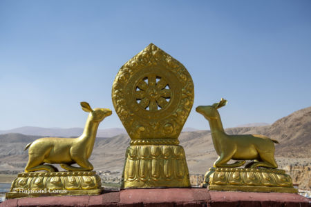 Gurugyam Monastery (21)