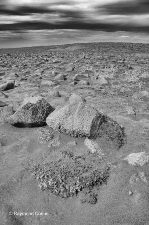 Icelandic landscapes (24)