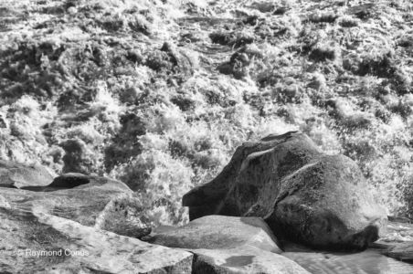 Icelandic landscapes (84)
