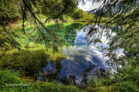 In the Diemtigtal (22)