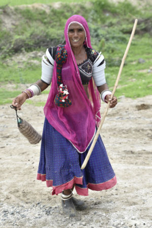 Shepherdess near Jodhpur. Rajasthan - 2016