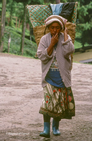 Indian women (7)