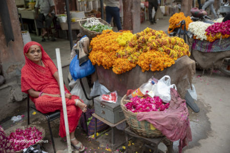 Indian women (87)