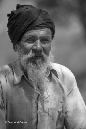 Indians (111)