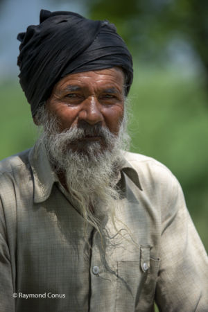 Indians (115)