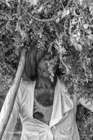 Indians (81)