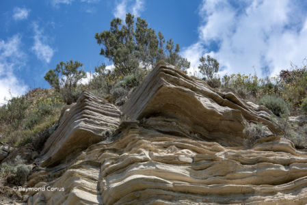 Ischia (3)