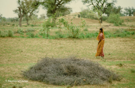 L'Inde au féminin (111)