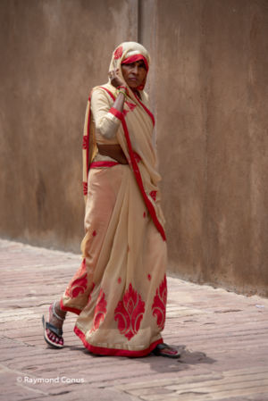 L'Inde au féminin (95)
