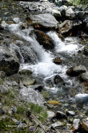 Lac d'Oeschinen (13)