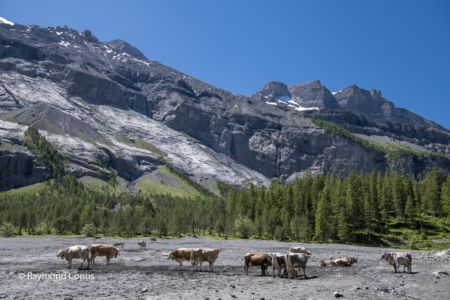 Lac d'Oeschinen (2)