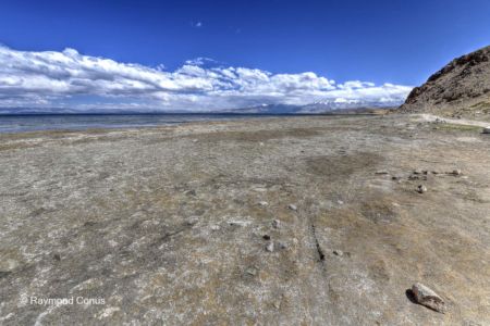 Lake Manasarovar (23)