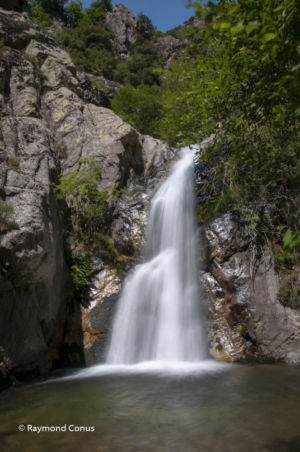 Languedoc-Roussillon (21)