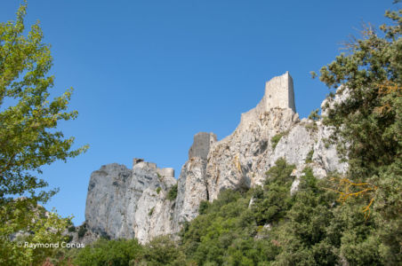 Languedoc-Roussillon (29)