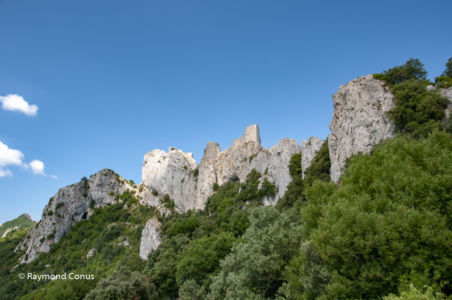 Languedoc-Roussillon (30)