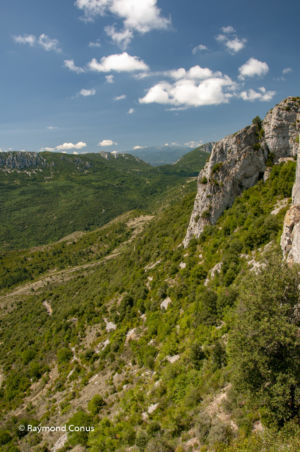 Languedoc-Roussillon (32)