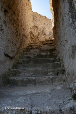 Languedoc-Roussillon (36)