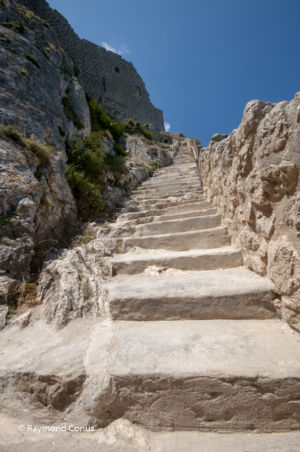 Languedoc-Roussillon (39)