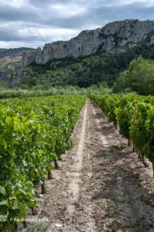 Languedoc-Roussillon (3)
