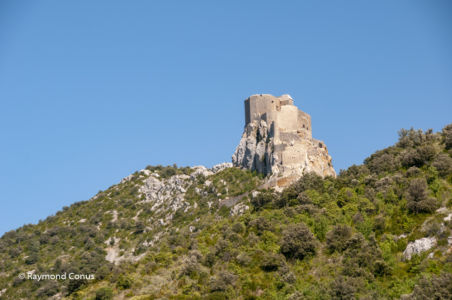 Languedoc-Roussillon (40)
