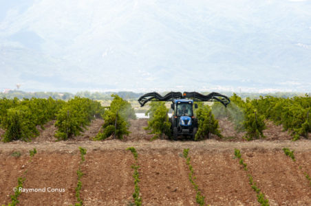 Languedoc-Roussillon (45)